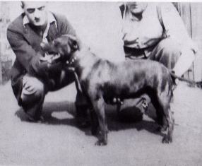 Joe Dunn & Joe Mallen with Jim the Dandy, the dog who was used as the basis for the first standard